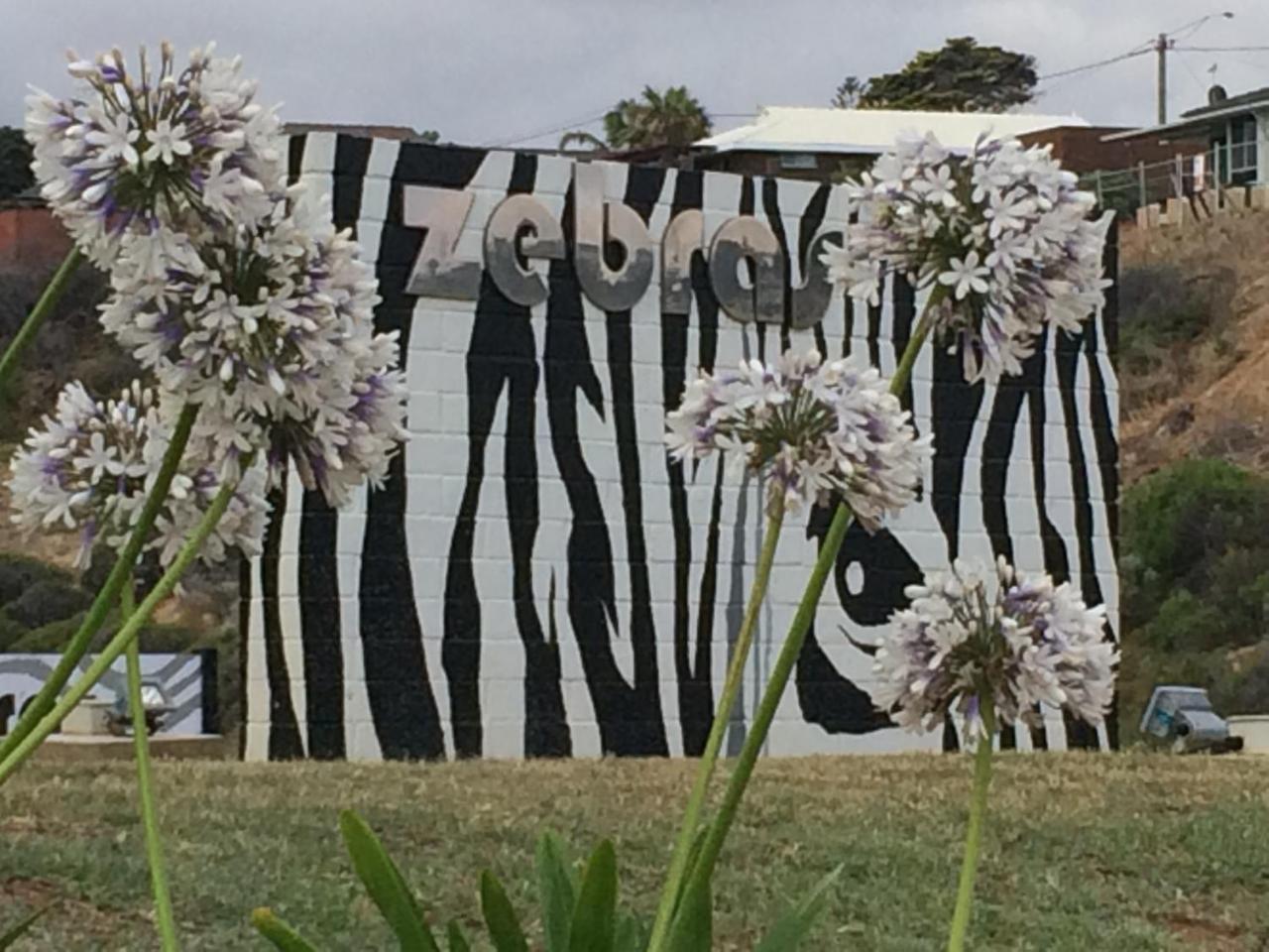 Zebras Guesthouse Geraldton Exterior photo