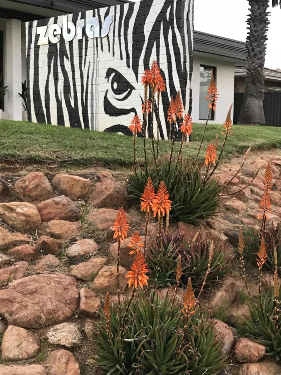 Zebras Guesthouse Geraldton Exterior photo